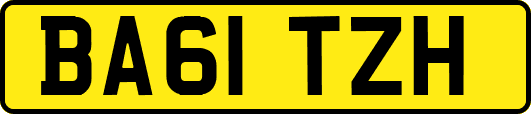 BA61TZH