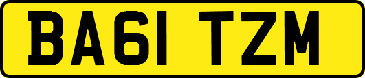 BA61TZM