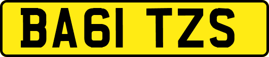 BA61TZS