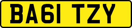 BA61TZY