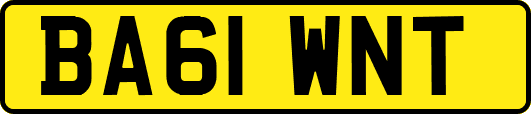 BA61WNT