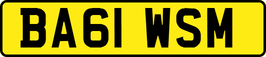 BA61WSM