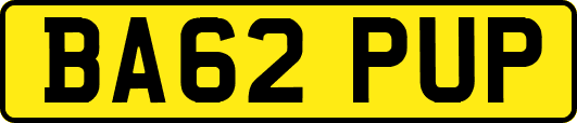 BA62PUP