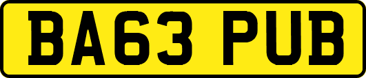 BA63PUB
