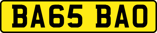 BA65BAO