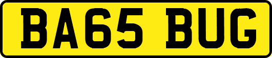 BA65BUG
