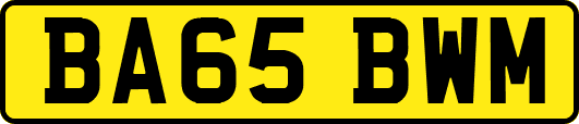 BA65BWM