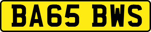 BA65BWS