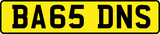 BA65DNS
