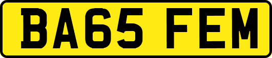 BA65FEM