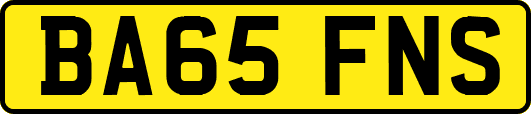 BA65FNS