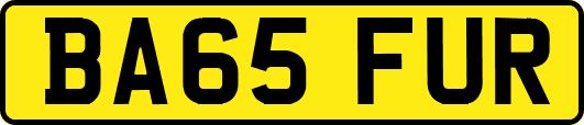 BA65FUR