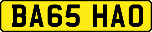 BA65HAO