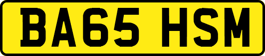 BA65HSM