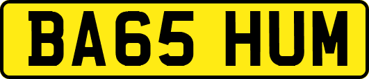BA65HUM
