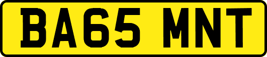 BA65MNT
