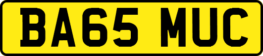 BA65MUC