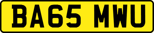 BA65MWU