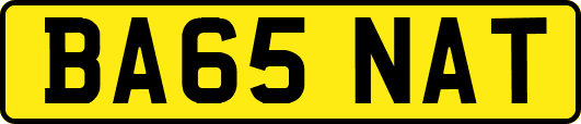 BA65NAT