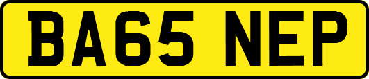 BA65NEP