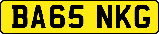 BA65NKG