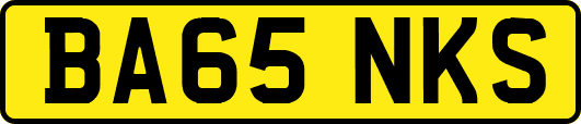 BA65NKS