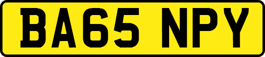 BA65NPY