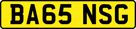 BA65NSG
