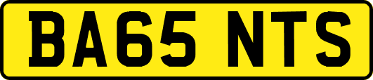 BA65NTS