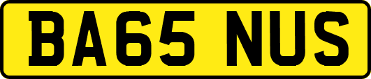 BA65NUS