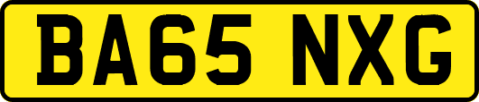 BA65NXG