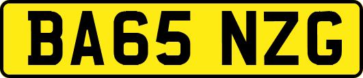 BA65NZG