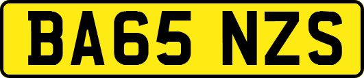 BA65NZS