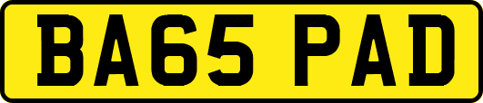 BA65PAD