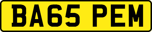 BA65PEM