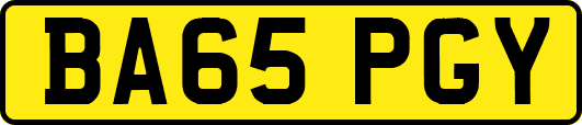 BA65PGY