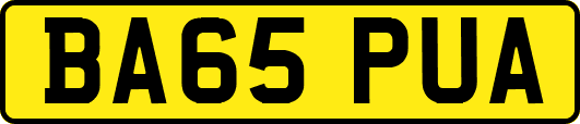 BA65PUA