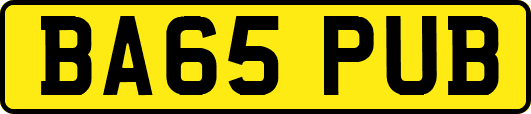 BA65PUB