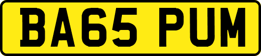 BA65PUM