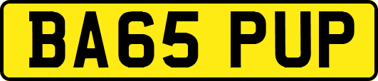 BA65PUP
