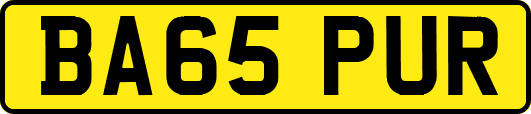 BA65PUR