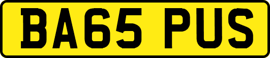 BA65PUS