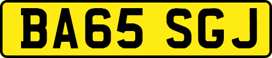 BA65SGJ