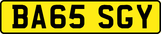 BA65SGY