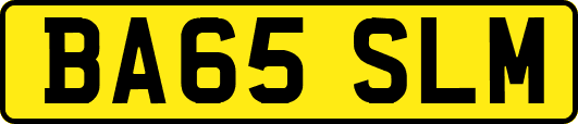 BA65SLM