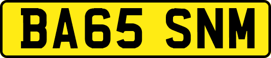 BA65SNM