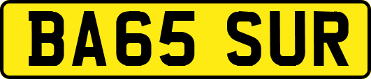 BA65SUR