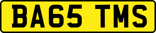 BA65TMS