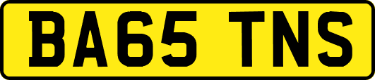 BA65TNS