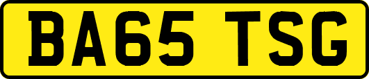 BA65TSG